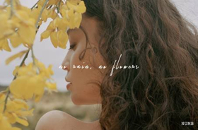 Sabrina Claudio Drops New Single NUMB Image