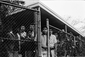 WALKOUT: PAST, PRESENT, REPEAT Explores 1968 East L.A. Student Protests Image
