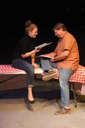 Interview: Director Dale Feldpausch of RAPTURE, BLISTER, BURN at Stagecrafters Of Royal Oak Explores Character Development in Contemporary Staged Reading 
