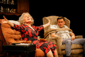 Review: BENEATH THE BLUE RINSE, Park Theatre 