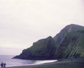 Ryan Von Gonten New LP Featuring Lomelda, Out On Gold Flake Paint's New Record Label Image