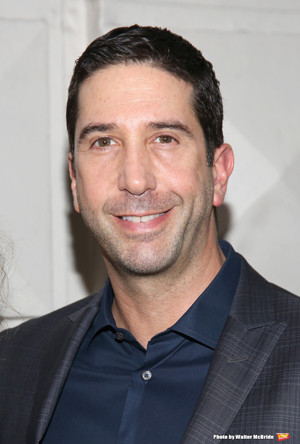 David Schwimmer Partners with Mayor's Office of Media and Entertainment to Spread #ThatsHarassment PSA Throughout NYC 