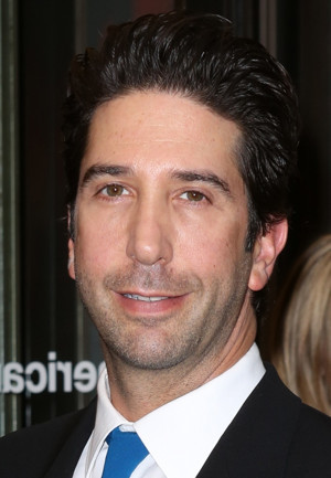 David Schwimmer to Special Guest Star on NBC's WILL & GRACE 