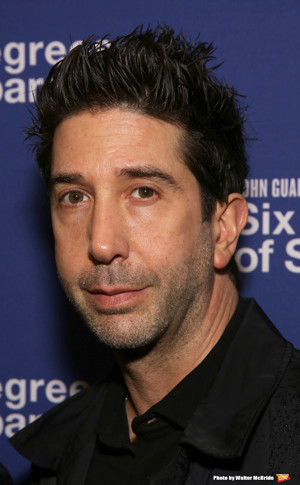 David Schwimmer to Guest Star on WILL & GRACE as Debra Messing's Love Interest  Image