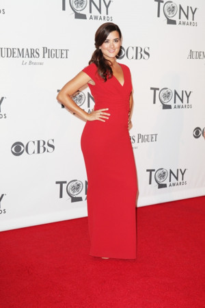 Michael Weatherly and Cote de Pablo to Produce Cop Drama at CBS Image