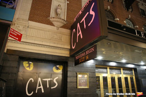 CATS On Sale At Broadway In Austin Image