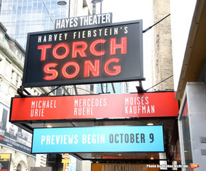 TORCH SONG to Hold Performance Benefiting Actors Fund 1/4 Image