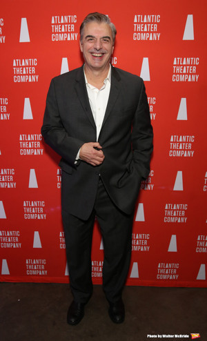 Chris Noth, Paul Giamatti, Amy Ryan and More Join ANTIGONE IN FERGUSON Image