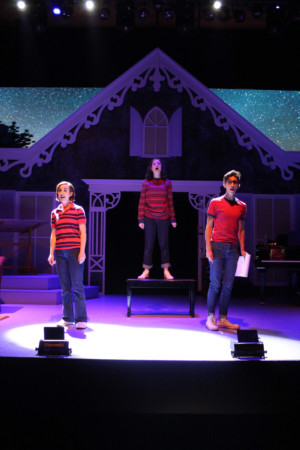 Review: FUN HOME Breaks Boundaries and Touches Hearts at Smithtown Performing Arts Center Image