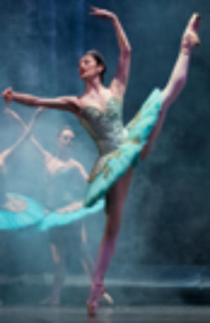 DON QUIXOTE Comes To Istanbul State Opera And Ballet Next Month Image
