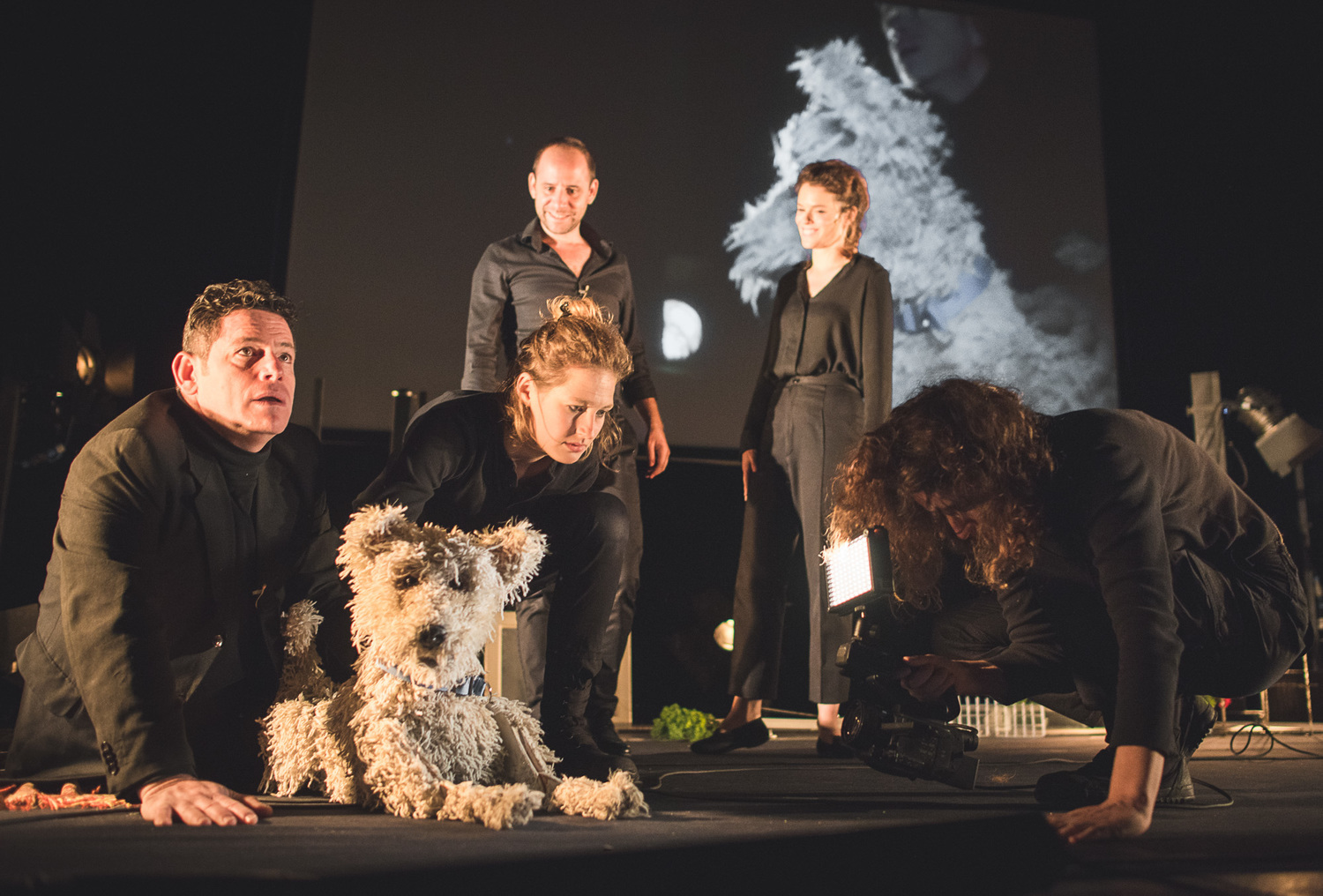 Review: SUDDENLY, A KNOCK ON THE DOOR at Cameri Theatre Image