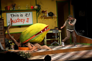 Review: LITTLE SHOP OF HORRORS at Alhambra Theatre And Dining Image