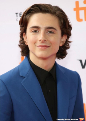 Robert Pattinson, Sean Harris, & More Join Timothee Chalamet in Upcoming Netflix Period Drama THE KING 