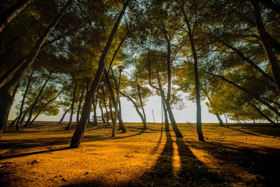 UNUM Festival to Host Ricardo Villalobos, Margaret Dygas, Sonja Moonear, Petre Inspirescu Image