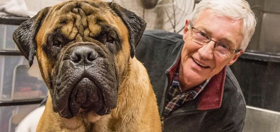 New Series PAUL O' GRADY: FOR THE LOVE OF DOGS Comes to ITV Choice  Image