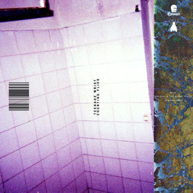 Teenage Wrist Announce 'Counting Flies' EP Image