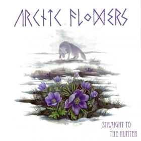 Arctic Flowers Share New Single Image