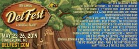 DelFest Releases 2019 Schedule and Last Round of Artist Additions Image