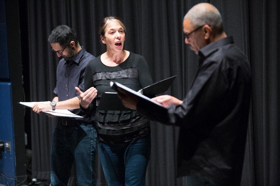 Review: THE HEARING: American Premiere at Israeli Stage Image