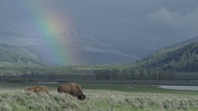 Smithsonian Channel To Debut EPIC YELLOWSTONE With Bill Pullman Image