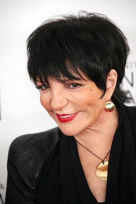 Michael Feinstein Says Liza Minnelli is 'Feeling Very Good' in New Interview Image