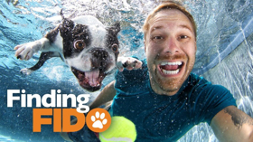 Doggy Matchmaking Show FINDING FIDO To Return For Second Season Cable Net Z Living March 18  Image