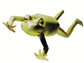 Atwood Concert Hall Presents Imago Theatre's FROGZ Image
