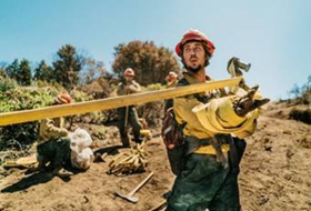 WILDLAND Kicks Off New Season of PBS's INDEPENDENT LENS Image