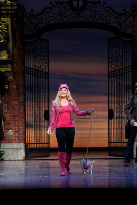 Harris Center To Present The National Tour Of LEGALLY BLONDE--The Musical Image
