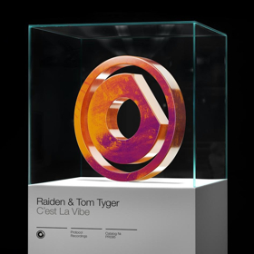 Raiden and Tom Tyger Team Up for 'C'est La Vibe' on Protocol Recordings Image