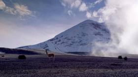 Smithsonian Channel Presents THE WILD ANDES Image