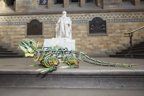 Guest Blog: Nick Paine On THE WIDER EARTH at the Natural History Museum Image