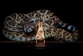 Border Crossing's ORIGINS Festival Features Live Ayahuasca Ceremony Image
