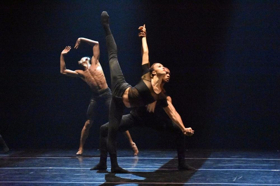 Review: COMPLEXIONS Redefines Rhythm at Joyce Residency Image
