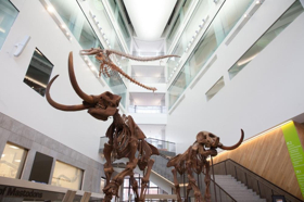 U-M to Unveil New Home for Museum of Natural History Image