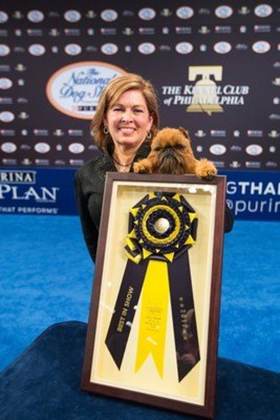 Dynamic Brussels Griffon (Toy Group) Wins NATIONAL DOG SHOW Presented By Purina Image