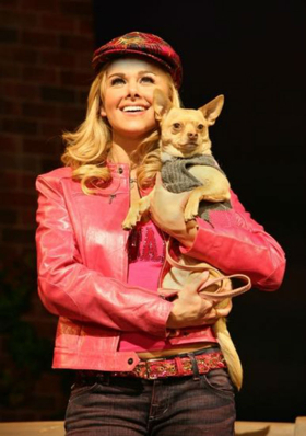 Chico, Canine Co-Star of LEGALLY BLONDE, Passes Away 