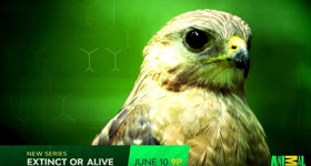 EXTINCT OR ALIVE Premieres on Animal Planet on 6/10  Image