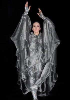 BWW Interview Diana Vishneva Discusses Sleeping Beauty Dreams at Beacon Theatre Image