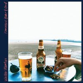 Walter Martin Releases New Song 'Reminisce Bar & Grill' Image