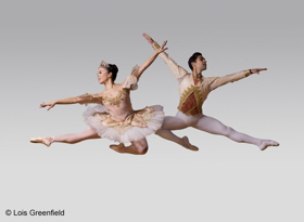 American Repertory Ballet Announces its 55th NUTCRACKER Season 
