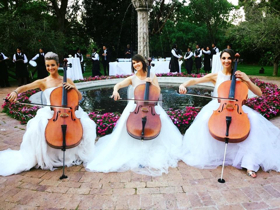 Rosanthorn Cello Trio Come to The Drama Factory Image