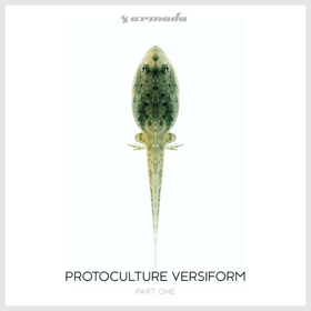 Protocultire Adapts, Evolves, & Thrives in Part One of Fifth Album VERSIFORM, Out Now 