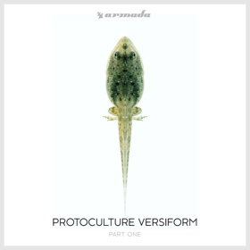 Protocultire Adapts, Evolves, & Thrives in Part One of Fifth Album VERSIFORM, Out Now Image