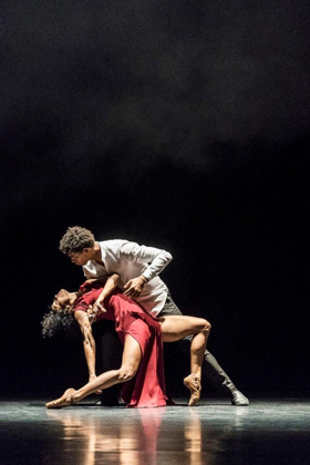 Review: !Adelante, Cuba! Festival Presents Acosta Danza Image