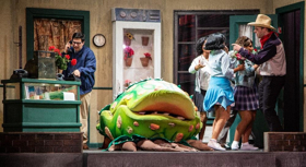 Review: BroadHollow Theatre Company's LITTLE SHOP OF HORRORS Image