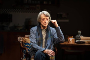 Review: A GERMAN LIFE, Bridge Theatre Image