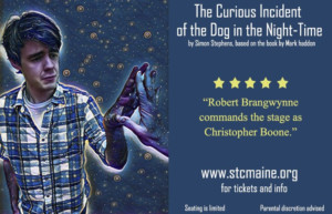 Feature: SOME THEATRE COMPANY, Orono, to present The Curious Incident of the Dog in the Night-Time with a special sensory-friendly performance for people with Autism. 