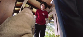 Review Roundup: Critics Weigh In On DOG DAYS Image