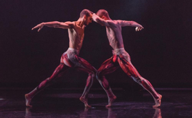 BalletBoyz Return To Darlington Hippodrome  Image